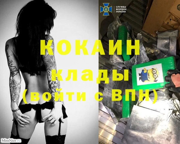 стафф Богородск