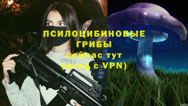 прущая мука Богданович