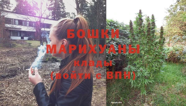 стафф Богородск